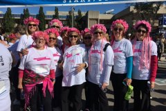 SDWC-run-for-the-cure-1